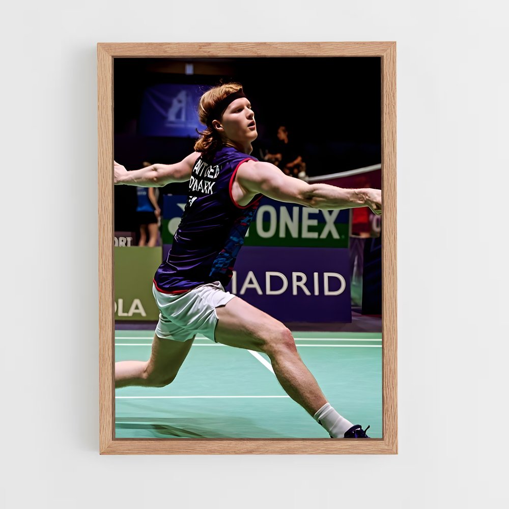 Poster Badminton Fever (vue 4)